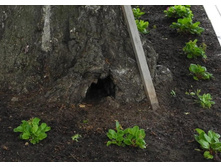 ������ ������ �� ������ �.���������� 