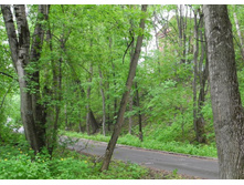 ��� �� ������� ��������