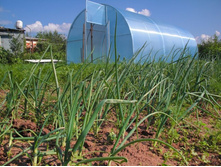 ��������������� �������