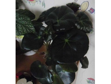 ������� 1