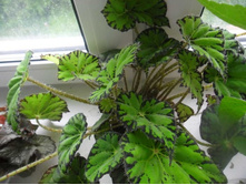 ������� 2