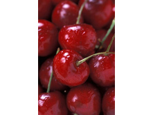 ����� � ������� 97