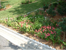 aaaa 2002 01-01 yard (1).jpg