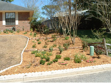 aaaa 2002 03-22 Front yard (1).jpg