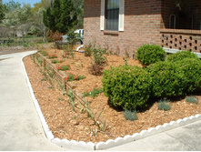 aaaa 2002 03-22 Front yard (5).jpg