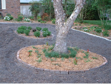 aaaa 2002 04-15 pictures in yard (8).jpg