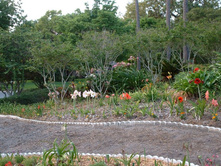 aaaa 2002 04-15 pictures in yard (10).jpg