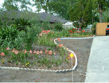 aaaa 2002 04-15 pictures in yard (11).jpg