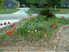aaaa 2002 04-15 pictures in yard (16).jpg