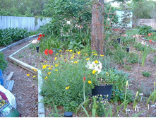 aaaa 2002 04-15 pictures in yard (20).jpg