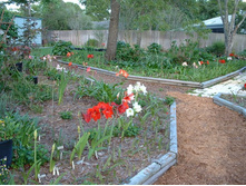 aaaa 2002 04-15 pictures in yard (21).jpg