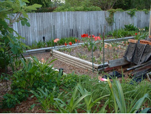 aaaa 2002 04-15 pictures in yard (25).jpg