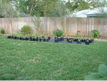 aaaa 2002 04-15 pictures in yard (27).jpg