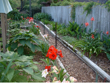 aaaa 2002 04-15 pictures in yard (33).jpg