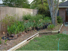 aaaa 2002 04-15 pictures in yard (34).jpg