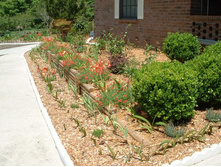 aaaa 2002 04-16 yard (2).jpg