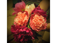 ����� ��������.jpg