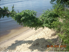DSCN7188.JPG