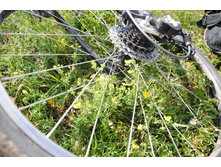 DSC_0034_����� ������.JPG