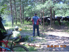 DSCN7252.JPG
