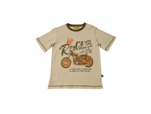 209 ���. �������:110�. 