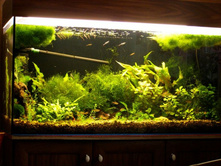 200� ����2011.JPG