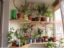 IMG_1052-������� � ����� ��� ����� � ����..jpg