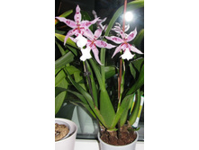 IMG_9800-�� ���� ����.jpg