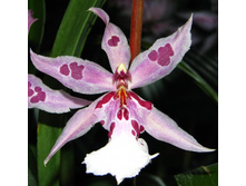 IMG_9808-���� ��.������..jpg