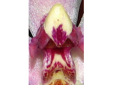 IMG_9808-����� ������ 2.jpg