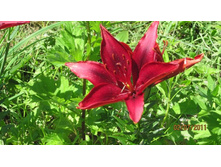 ����� 2.jpg