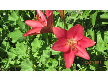 ����� 3.jpg