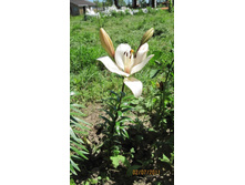 ����� 4.jpg