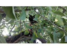 ����� �� ������.jpg