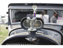 ����������� 018_����� ������.jpg