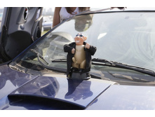 ����������� 049_����� ������.jpg