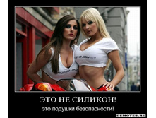 1283840304_82km8y1fuqd2.jpg