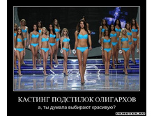 1283929311_tp8lcas2cwv6.jpg