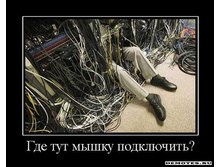1284318976_1tmpvzlncn.jpeg