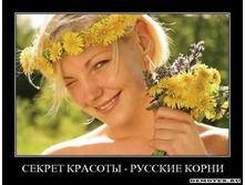 1284560788_luk0d6y56kcy.jpg