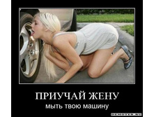 1284894674_yr9rxkstt5wo.jpg