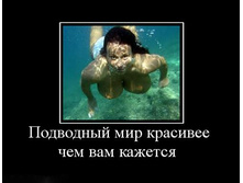 1287685665_podvodnyij-mir-krasivee-chem-vam-kazhetsya-.jpg