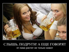1297694423_dmpwg4wq3071.jpg
