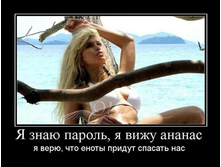 1298012894_ya-znayu-parol-ya-vizhu-ananas.jpg