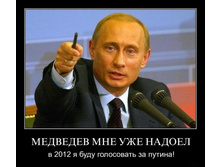 1298274288_myy97yky2jbs.jpg