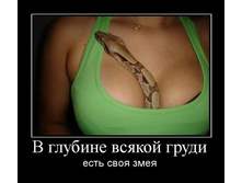 1298478317_v-glubine-vsyakoj-grudi.jpg