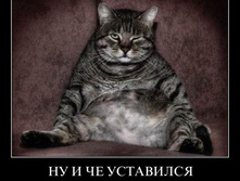 1298668631_077tf3kwgj3o.jpg