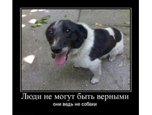 1299222089_lyudi-ne-mogut-byit-vernyimi.jpg