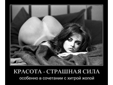 1299225110_76h1vq3w1ehm.jpg