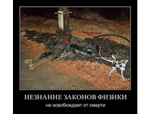 1299225276_6n7xlep13l88.jpg